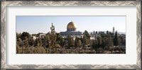 Framed Trees with mosque in the background, Dome Of the Rock, Temple Mount, Jerusalem, Israel