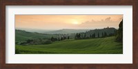 Framed Trees on a hill, Monticchiello Di Pienza, Val d'Orcia, Siena Province, Tuscany, Italy