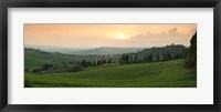 Framed Trees on a hill, Monticchiello Di Pienza, Val d'Orcia, Siena Province, Tuscany, Italy