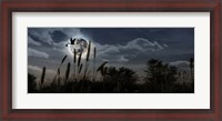 Framed Stork with a baby flying over moon