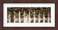 Framed White picket fence surrounded by bushes along Truman Avenue, Key West, Monroe County, Florida, USA