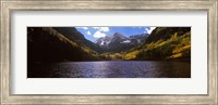 Framed Trees in a forest, Snowmass Wilderness Area, Maroon Bells, Colorado, USA