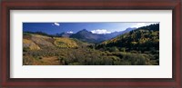 Framed Trees on mountains, State Highway 62, Ridgway, Colorado, USA