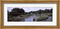 Framed Sabie River, Kruger National Park, South Africa