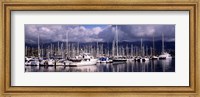 Framed Boats at a harbor, Santa Barbara Harbor, Santa Barbara, California, USA