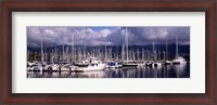 Framed Boats at a harbor, Santa Barbara Harbor, Santa Barbara, California, USA