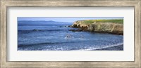 Framed Santa Cruz Island, Santa Barbara County, California