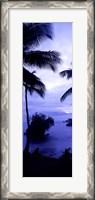 Framed Palm trees on the coast, Colombia (purple and blue)