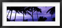 Framed Palm trees on the coast, Colombia (purple horizontal)