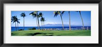 Framed Palm trees at the coast, Ritz Carlton Hotel, Kapalua, Molokai, Maui, Hawaii, USA