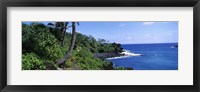 Framed Palm trees with plants growing at a coast, Black Sand Beach, Hana Highway, Waianapanapa State Park, Maui, Hawaii, USA