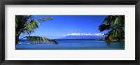 Framed Palm trees on the beach, Kapalua Beach, Molokai, Maui, Hawaii, USA