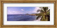 Framed Palm tree on the beach, Hamoa Beach, Hana, Maui, Hawaii, USA