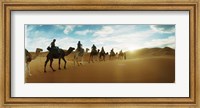 Framed Tourists riding camels through the Sahara Desert landscape led by a Berber man, Morocco