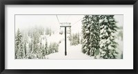 Framed Chair lift and snowy evergreen trees at Stevens Pass, Washington State, USA