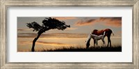 Framed Horse mare and a foal grazing by tree at sunset