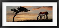 Framed Horse mare and a foal grazing by tree at sunset