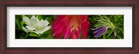 Framed White, pink and purple flowers