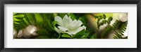 Framed Fern with Magnolia