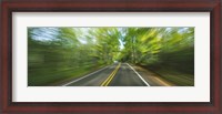 Framed Treelined road viewed from a moving vehicle