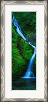 Framed Waterfall in a forest, Sullivan Falls, Opal Creek Wilderness, Oregon, USA