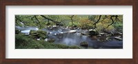 Framed River flowing through a forest, West Dart River, Dartmeet, Devon, England
