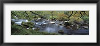 Framed River flowing through a forest, West Dart River, Dartmeet, Devon, England