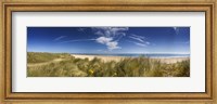 Framed Marram Grass, dunes and beach, Winterton-on-Sea, Norfolk, England
