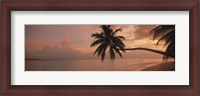 Framed Silhouette of palm trees on the beach at sunrise, Fihalhohi Island, Maldives