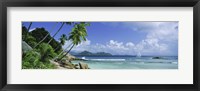 Framed Palm trees on the beach, Anse Severe, La Digue Island, Praslin Island, Seychelles