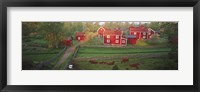 Framed Traditional red farm houses and barns at village, Stensjoby, Smaland, Sweden