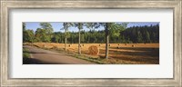 Framed Hay bales in a field, Flens, Sweden