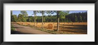 Framed Hay bales in a field, Flens, Sweden