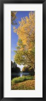 Framed River flowing through a forest, Dal River, Sweden