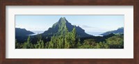 Framed Mountains at a coast, Belvedere Point, Mont Mouaroa, Opunohu Bay, Moorea, Tahiti, French Polynesia
