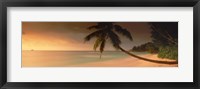Framed Silhouette of a palm tree on the beach at sunset, Anse Severe, La Digue Island, Seychelles