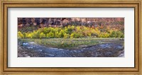 Framed Virgin River at Big Bend, Zion National Park, Springdale, Utah, USA