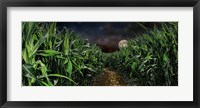 Framed Dark corn field