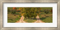 Framed Two dirt roads passing through farms in autumn