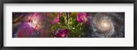 Framed Close-up of flowers and universe