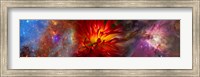 Framed Hubble galaxy with red chrysanthemums