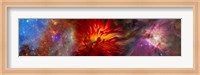 Framed Hubble galaxy with red chrysanthemums