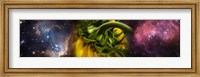 Framed Sunflower in the Hubble cosmos