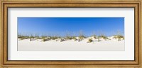 Framed Sand dunes on Gulf Of Mexico, Orange Beach, Baldwin County, Alabama, USA