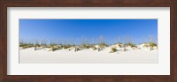 Framed Sand dunes on Gulf Of Mexico, Orange Beach, Baldwin County, Alabama, USA