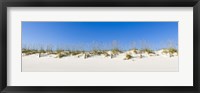 Framed Sand dunes on Gulf Of Mexico, Orange Beach, Baldwin County, Alabama, USA