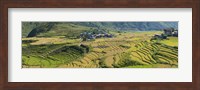 Framed Rice terraced fields and houses in the mountains, Punakha, Bhutan