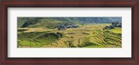 Framed Rice terraced fields and houses in the mountains, Punakha, Bhutan