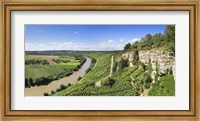 Framed High angle view of vineyards, Neckar River, Hessigheim, Baden-Wurttemberg, Germany