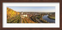 Framed Vineyards around a castle, Horneck Castle, Gundelsheim, Baden-Wurttemberg, Germany
